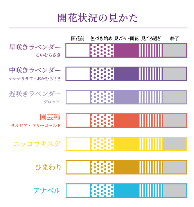 開花状況の見え方