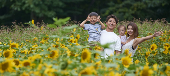 ラベンダー以外にもたくさんの花々が