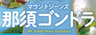 mtjeans