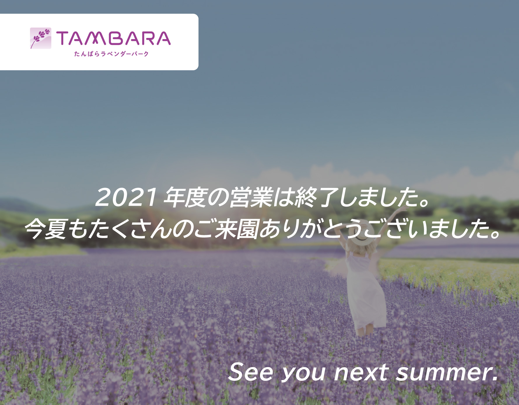 公式 たんばらラベンダーパーク 花と みどりと 風の楽園 公式 たんばらラベンダーパーク 花と みどりと 風の楽園