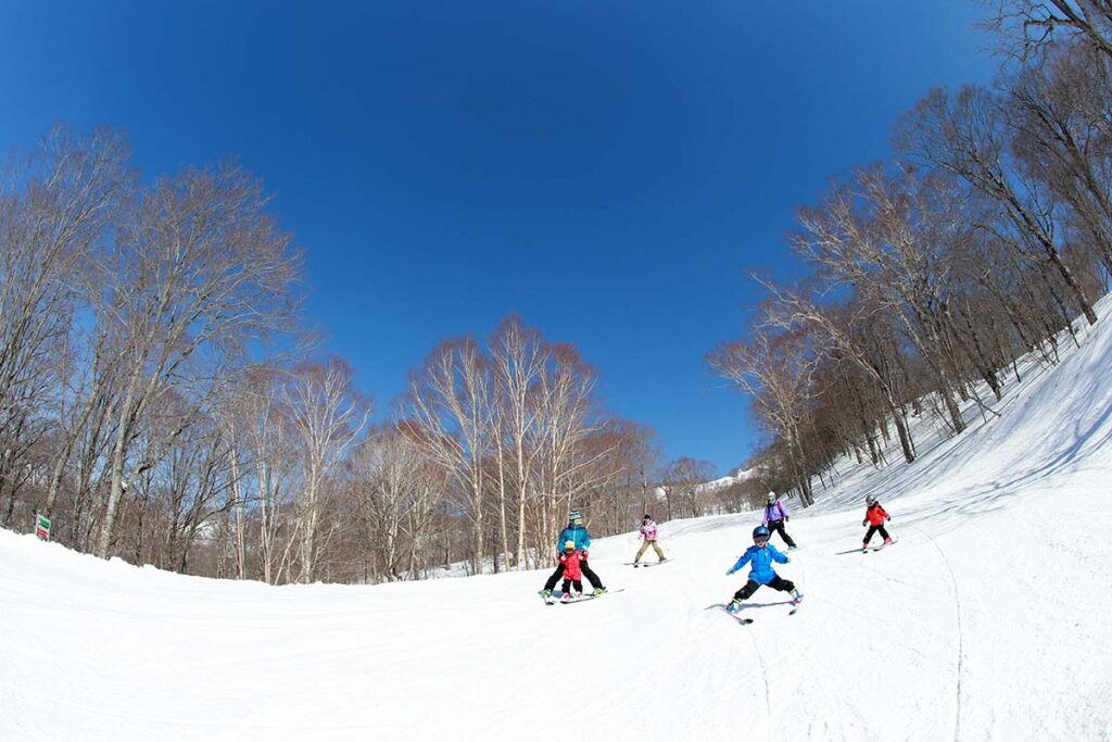 関東でおすすめのスキー場　たんばらスキーパーク　子供が遊べるスキー場