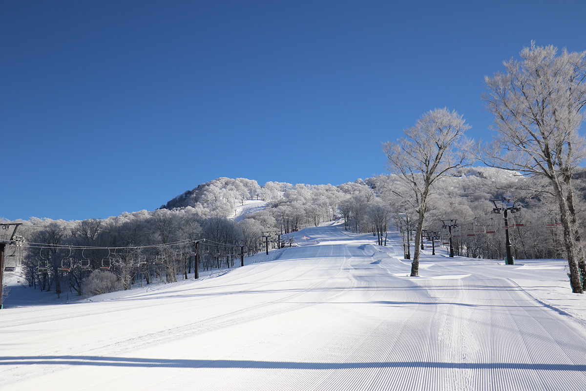 Tanbara Ski Park Abundant Beginner Courses!