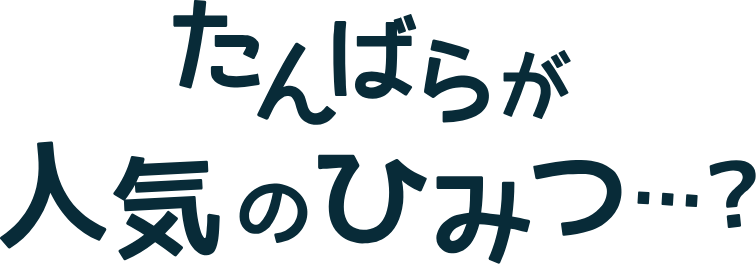 たんばらが人気のひみつ…？